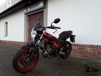 Suzuki SV650AM2, ABS 35KW A2 möglich Bad Doberan - Landkreis - Bad Doberan Vorschau