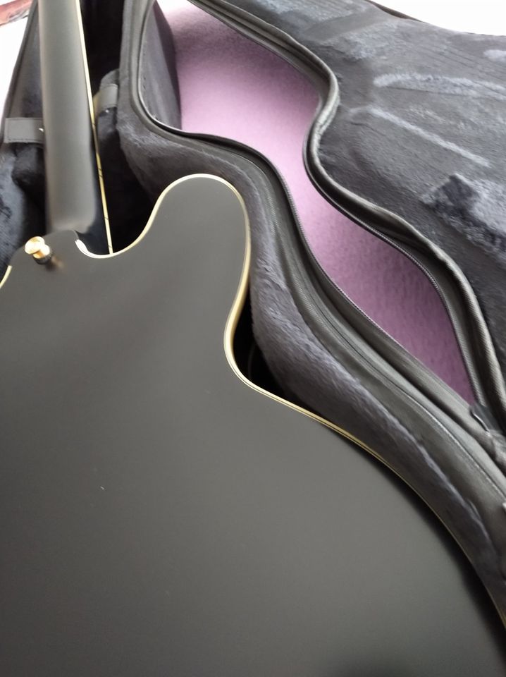 Epiphone Sheraton Emily Wolfe Stealth Ebony in Frankfurt am Main