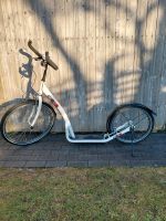 Cityroller/Erwachsenenroller Bike2Go ♡ Schleswig-Holstein - Wanderup Vorschau