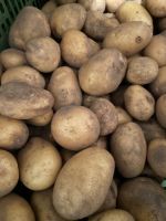Kartoffeln Zwiebeln Kartoffel Zwiebel Essen Küche Hettstadt Agrar Bayern - Hettstadt Vorschau