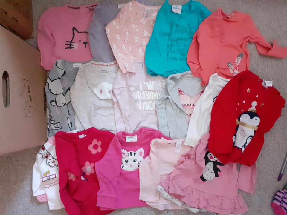 16er Set Mädchen 74/80 Pullover Pulli shirts in Bruchköbel