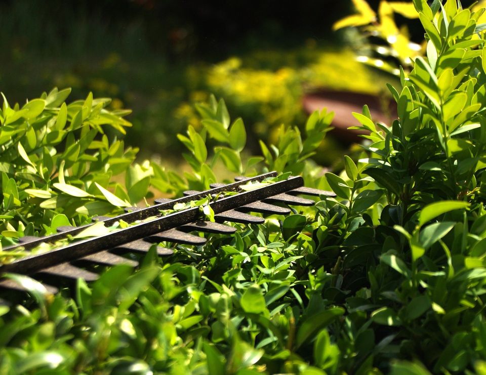 Gartenpflege, Mäharbeiten, Baumpflege & Fällung in Bad Rappenau