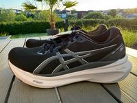 Asics Gel Kayano 30 Neu Gr. 44 + 46 Laufschuh Herren Rheinland-Pfalz - Wittgert Vorschau