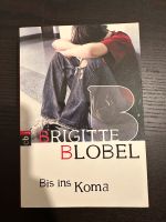 3 Brigitte Blobel Jugendbücher Baden-Württemberg - Eimeldingen Vorschau