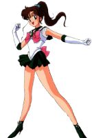 Sailor Jupiter Cosplay (Sailor Moon) Sachsen - Delitzsch Vorschau