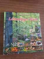 Lebendiger Wald Baden-Württemberg - Rauenberg Vorschau