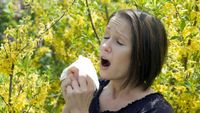 Hilfe für Pollen-/Hausstaub-/Tierhaar-Allergiker/in Bayern - Bad Wörishofen Vorschau