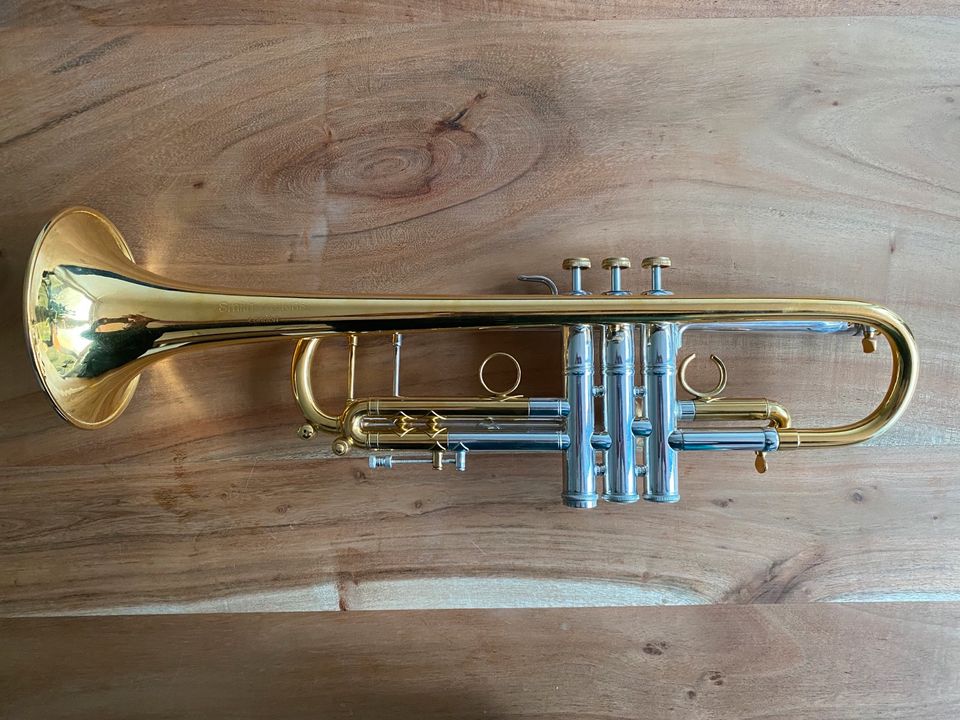 Smith-Watkins DW R25 Trompete Bach Ventilstock - UNIKAT in Büren