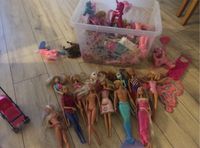 Große Barbie Sammlung Niedersachsen - Ebstorf Vorschau