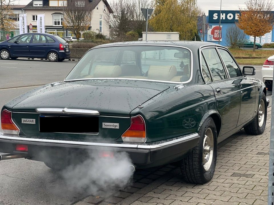 Jaguar XJ OLDTIMER H in Dieburg