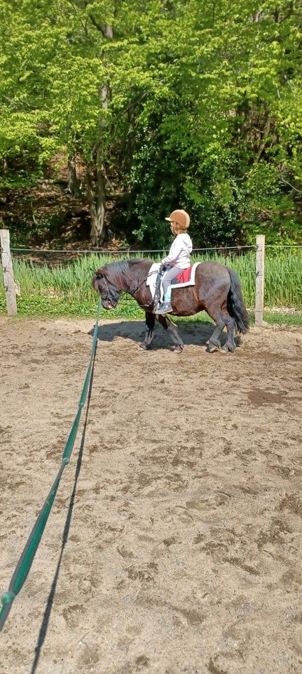 geführtes Reiten-Umgang mit dem Pony/ Reittherapie/ in Warmsen