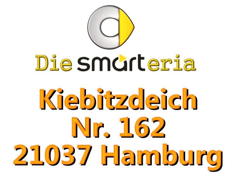 Smart 450 elektrisch verstellbare beheizte Aussen-spiegel silber❗ in Hamburg