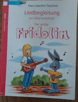 Fridolin Gitarrenschule Hessen - Offenbach Vorschau