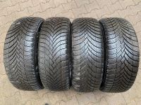 4 x Winterreifen Semperit M+S 225/55 R17 101V 4 x 8,5mm neuwertig Rheinland-Pfalz - Klein-Winternheim Vorschau