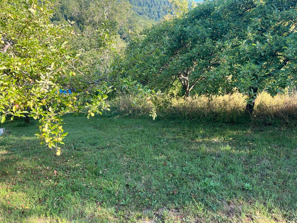 Kuchen Seetal landwirtschaftliche Fläche Freizeitgrundstück in Göppingen