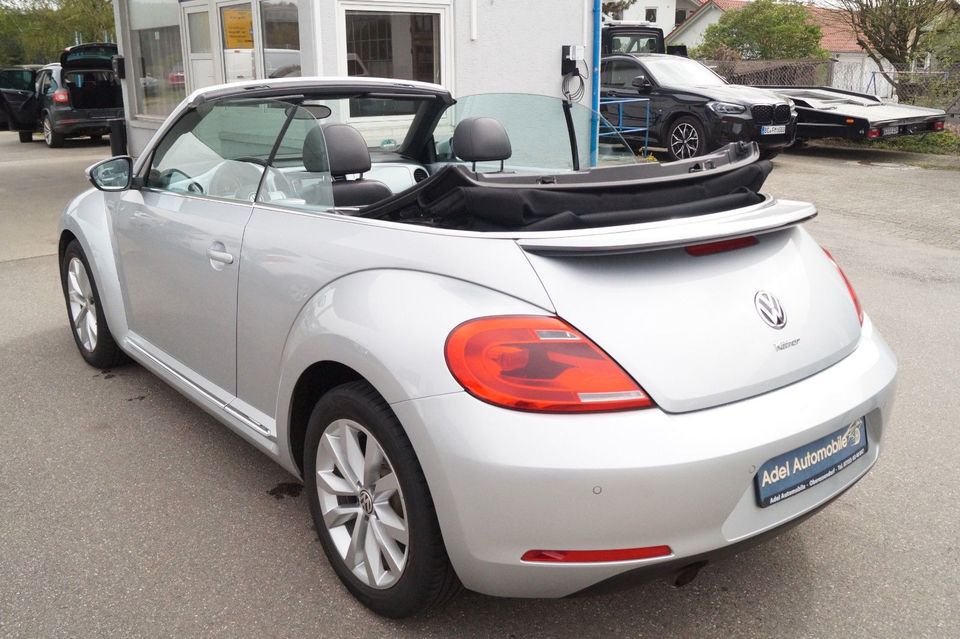 Volkswagen Beetle Cabriolet Design Leder Navi in Venusberg