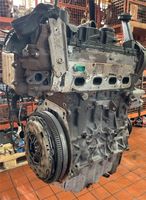 Motor Engine CXG VW T6 2.0 TDI 50.000km Komplett Bielefeld - Senne Vorschau