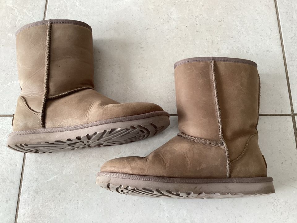 UGG Stiefel Gr. 36 Leder in Wittlich