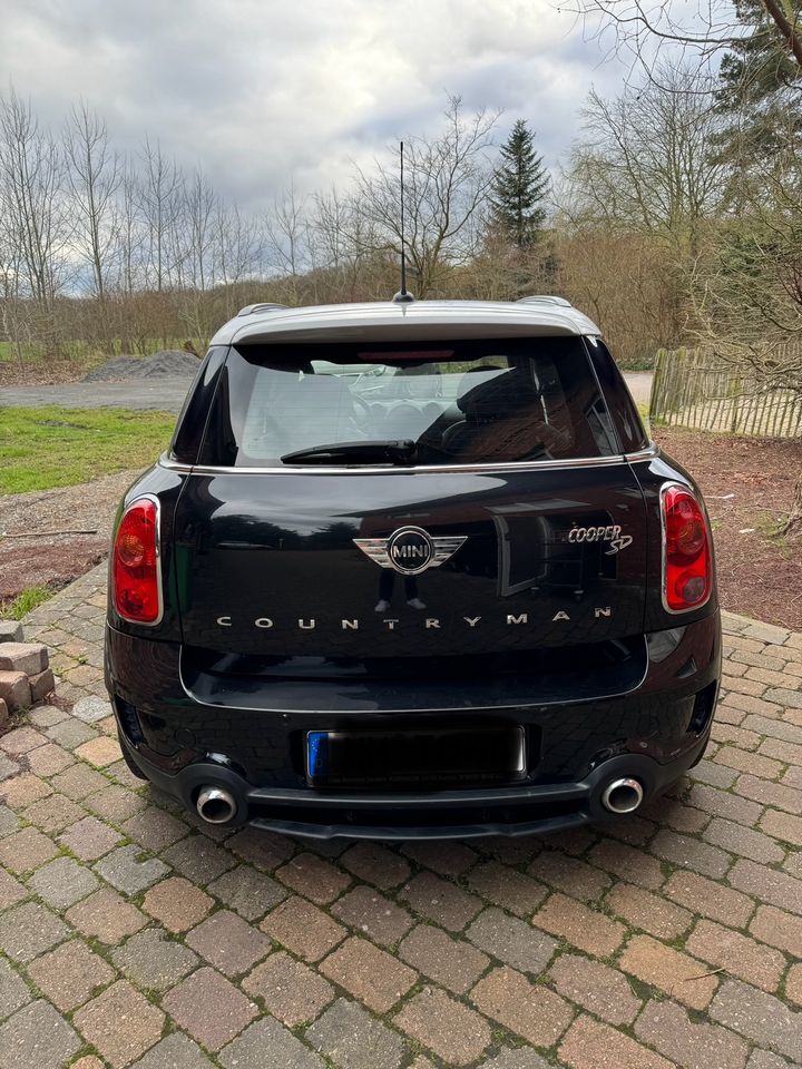 Mini Countryman SD in Sachsenhagen