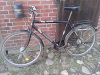 28 Zoll Pegasus Herrenfahrrad, Trekkingrad, schwarz Schleswig-Holstein - Geschendorf Vorschau