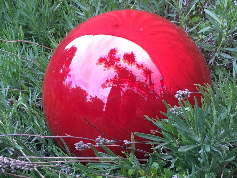 Rosenkugel XXL 30 cm mundgeblasen Glashütte Garten in Buchen (Odenwald)