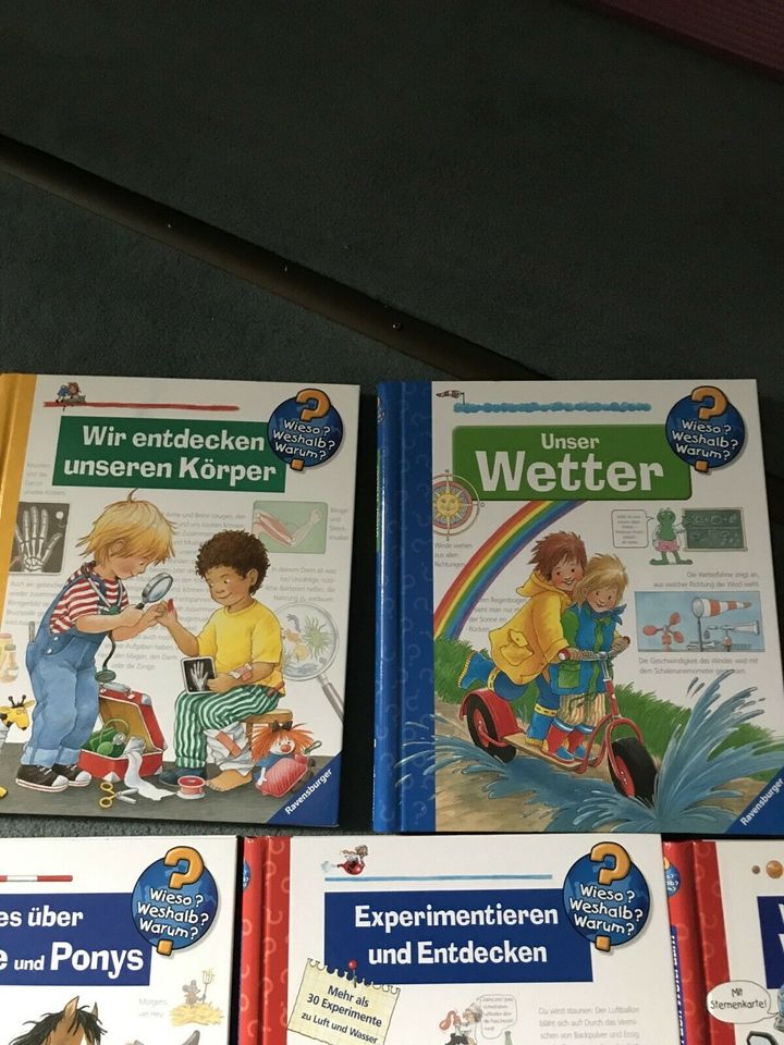 5 Sachbücher ab Kindergartenalter tolles Geschenk in Brück