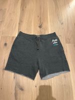 Hollister Herren Shorts gr. M TOP Niedersachsen - Zeven Vorschau