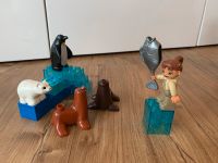 Duplo custom set Zoo Tiere im Eis München - Schwabing-Freimann Vorschau