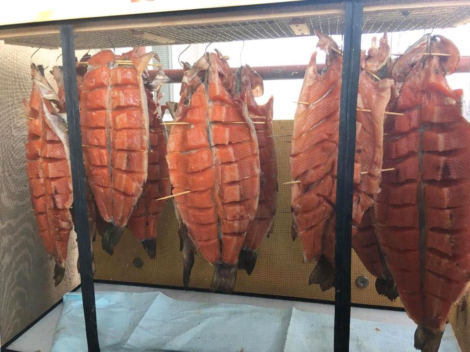 Reifeschrank für Fleisch Wurst Fisch in Regensburg