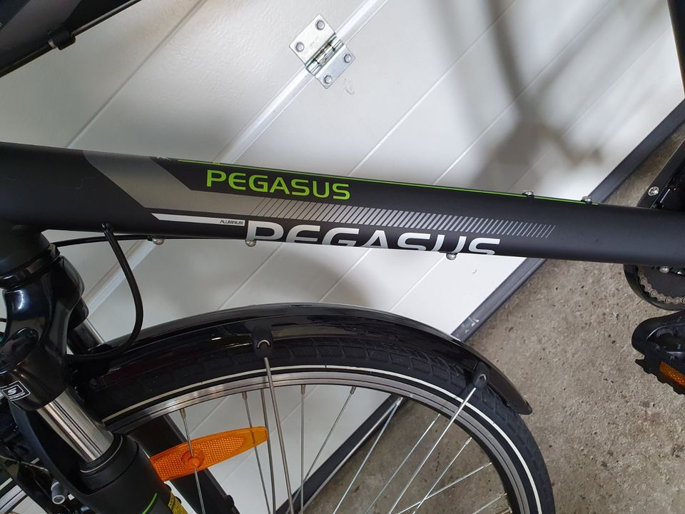 Pegasus Avanti Fahrrad 28 Zoll in Lengede
