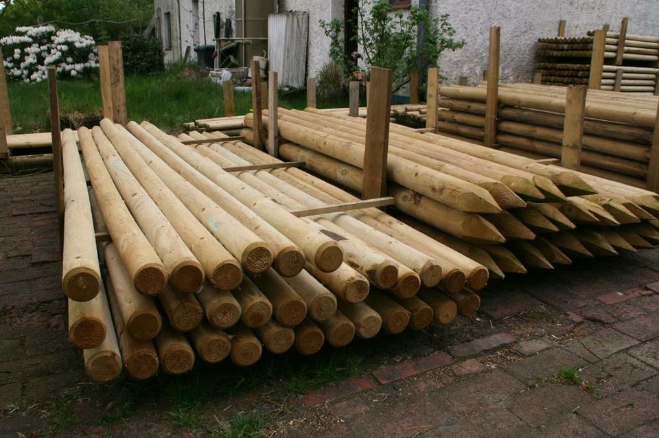 Baumpfähle - Zaunpfähle - Holzpfähle - 9 x 240 cm - imprägniert in Wagenfeld