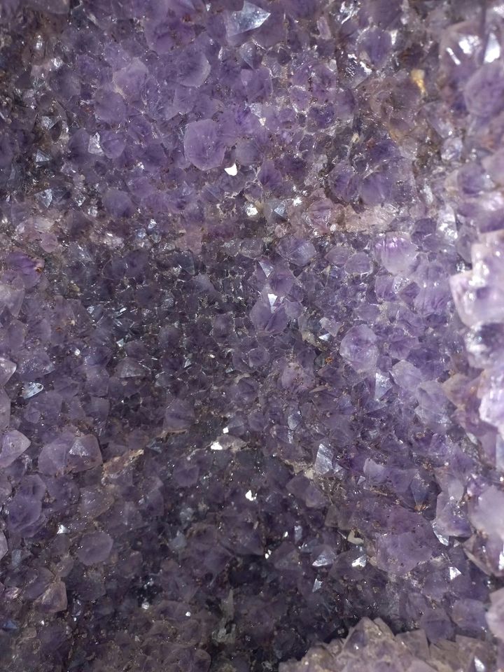 Amethyst Druse, Kathedrale, Geode, Cluster, Geode XXL in Eckernförde