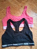 Puma & Lucky Day Bustier BH Oberteil Gr. M Nordrhein-Westfalen - Borchen Vorschau