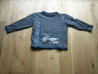 Pullover Sweatshirt Salt and Pepper Gr 128/134 Dino Dinosaurierer Bayern - Dießen Vorschau