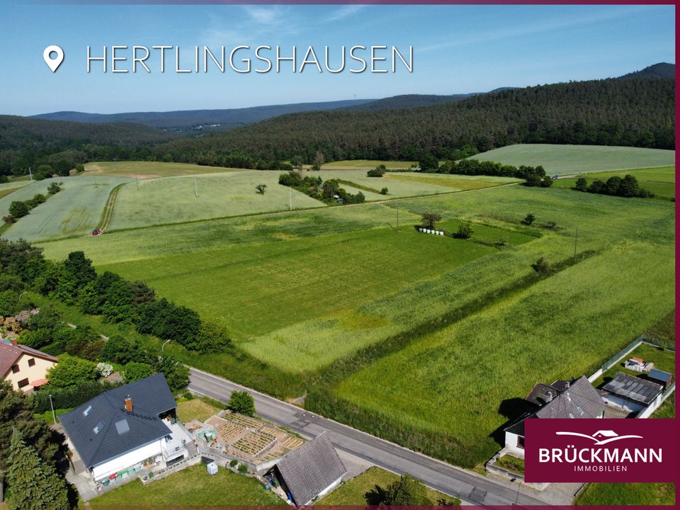 Schönes Baugrundstück (Nr. 759, 508 m²) im Neubaugebiet "Am Ringelsberg" Hertlingshausen! in Carlsberg