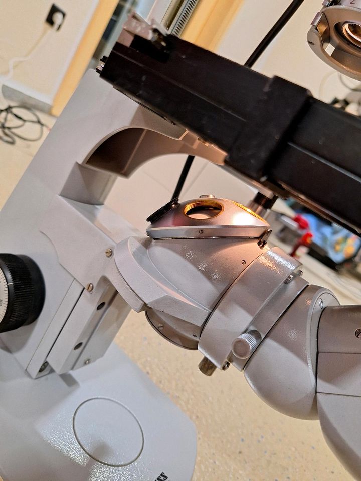 Zeiss microskop elektronisch in Alfdorf