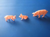 3 Tierfiguren Schweine Bauernhof Hartplastik - mehrfarbig Berlin - Mitte Vorschau