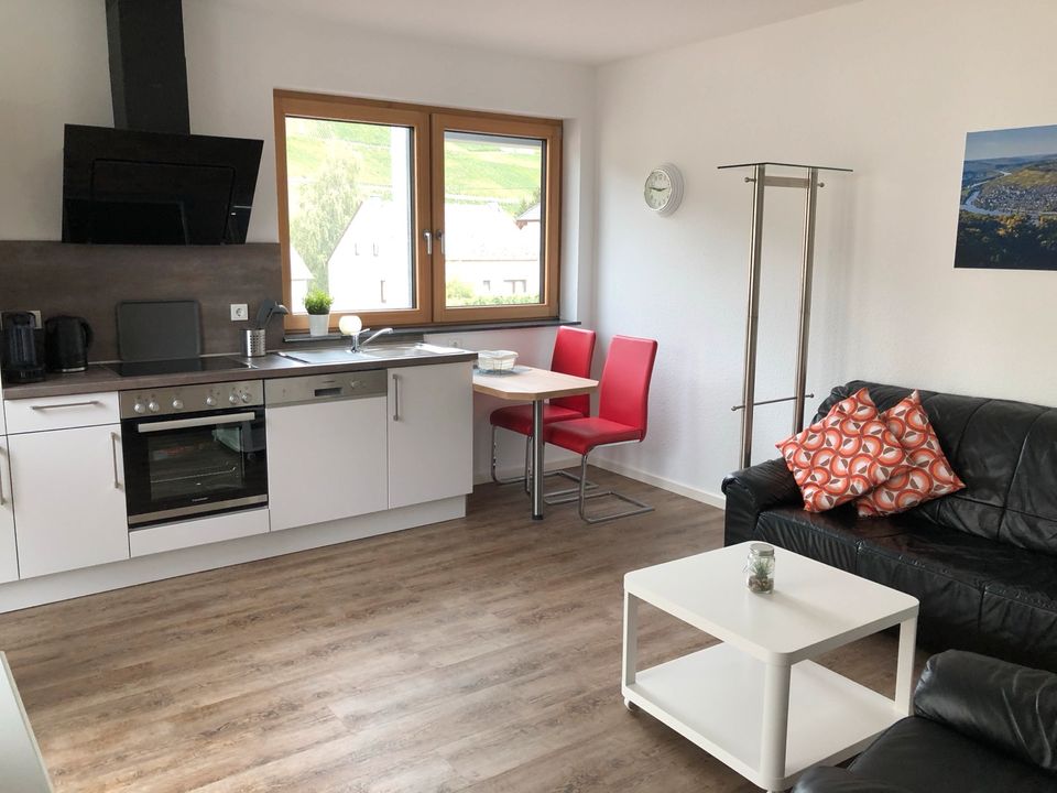 Ferienappartement / Ferienwohnung im Weinort Piesport (Mosel) in Piesport