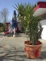 Camping-Kombüse in Delve Dithmarschen - Hollingstedt b Delve Holst Vorschau