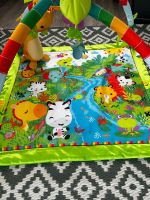 Fisher Price Spielbogen Nordrhein-Westfalen - Bedburg-Hau Vorschau