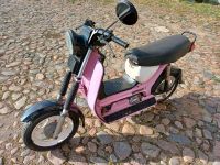 Simson SR 50 Rosa/Pink 1990 Sachsen-Anhalt - Zehbitz Vorschau