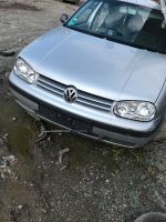 Vw Golf 4 Schlachtfest Nordrhein-Westfalen - Lippstadt Vorschau