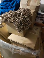Verpackungsmaterial Kartons, Füllmaterial, Bio Luftpolster Niedersachsen - Seelze Vorschau