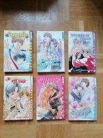 Diverse Manga Boy's Love von Hinako Takanaga Leipzig - Probstheida Vorschau