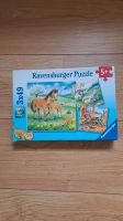 Ravensburger Puzzle 3x49Stck. (5+Jahre) Sachsen - Chemnitz Vorschau