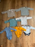 Babykleidung in Größe 74/80 Niedersachsen - Hohenhameln Vorschau