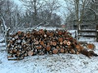 Holz Brennholz Niedersachsen - Staufenberg Vorschau