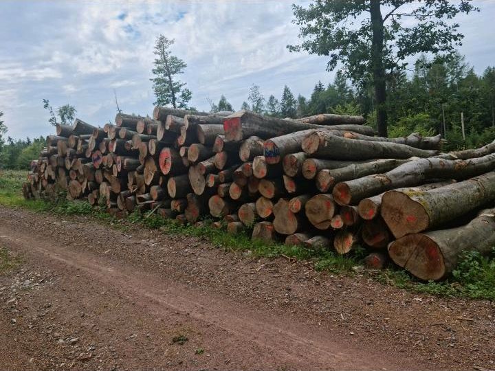 Stammholz Buche Brennholz ■Sonderposten■ inkl Lieferung frei Hof in Aschaffenburg