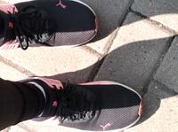 Damen Schuhe Herzogtum Lauenburg - Lauenburg Vorschau