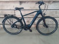 Victoria eManufaktur 11.7 eBike ** Top-Angebot ** Bosch 65Nm ** Neu ** Schleswig-Holstein - Grauel Vorschau